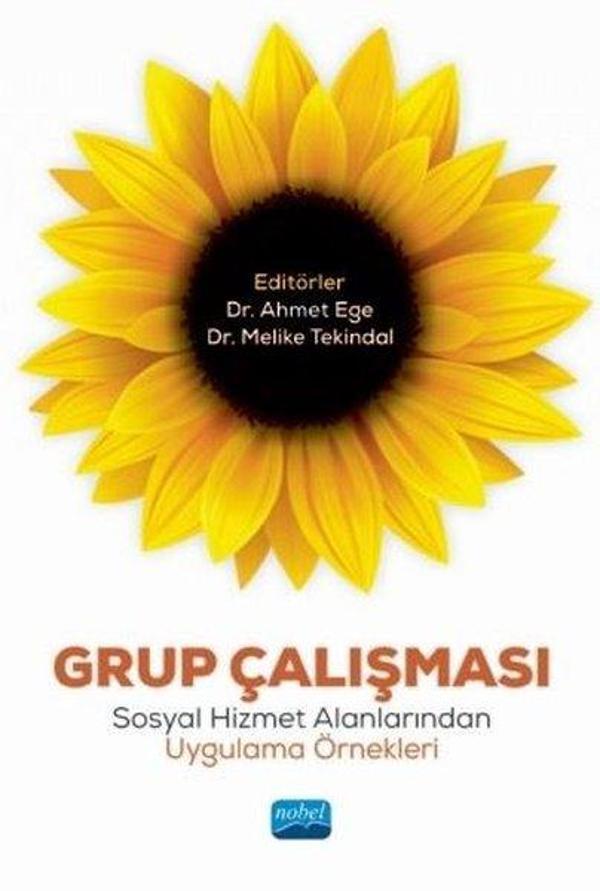Grup Çalışması: Sosyal Hizmet Alanlarından Uygulama Örnekleri - Nobel Akademik Yayıncılık - Image 1