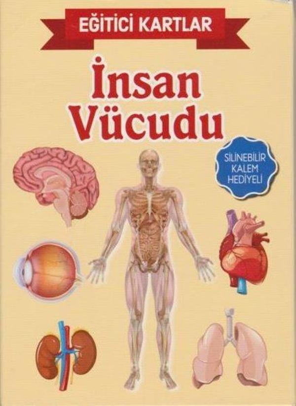 Eğitici Kartlar - İnsan Vücudu - Teleskop Popüler Bilim - Image 1