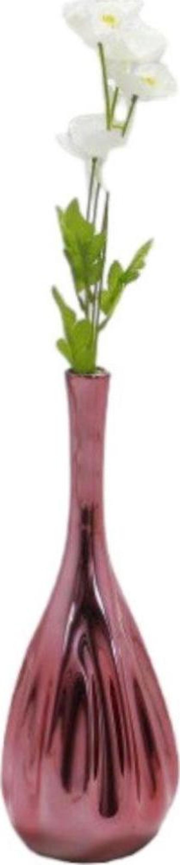 T.Concept Gelincik Çiçeği Beyaz - Image 1