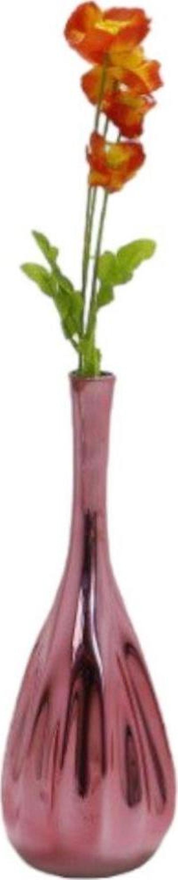 T.Concept Gelincik Çiçeği Kırmızı - Image 1