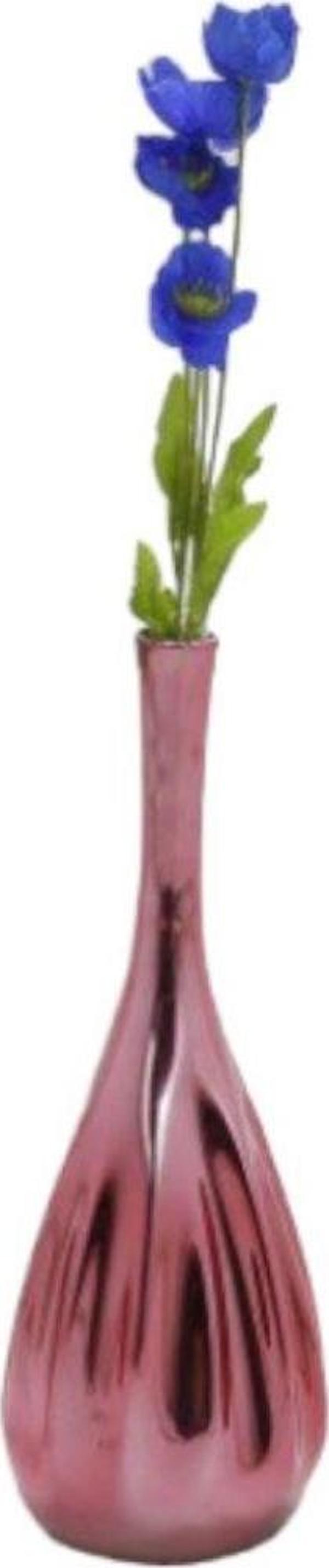 T.Concept Gelincik Çiçeği Mavi - Image 1
