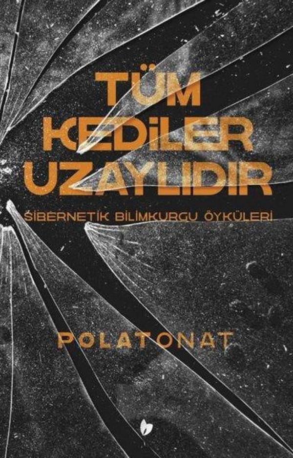 Tüm Kediler Uzaylıdır - Sibernetik Bilimkurgu Öyküleri - Buğday Kitap - Image 1