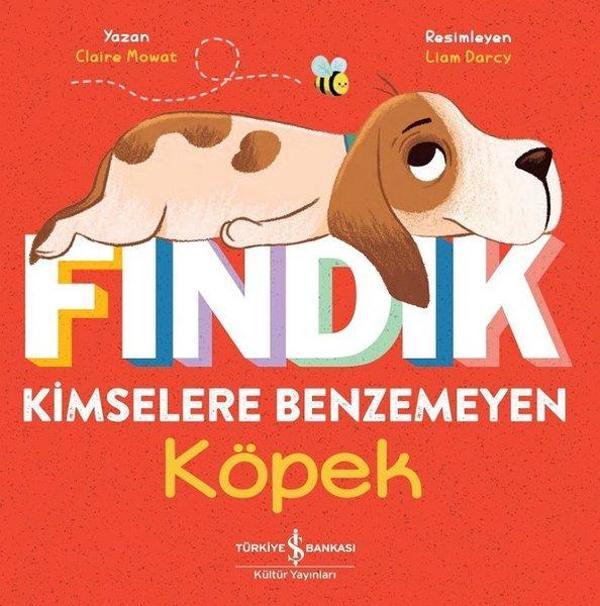 Fındık Kimselere Benzemeyen Köpek - İş Bankası Kültür Yayınları - Image 1
