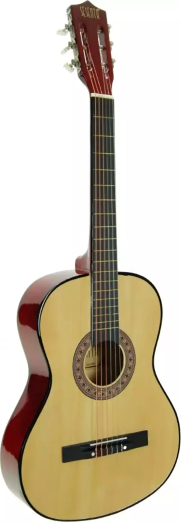 Klasik Gitar Öğrenci Naturel Sesenta Ssc38n - Image 1