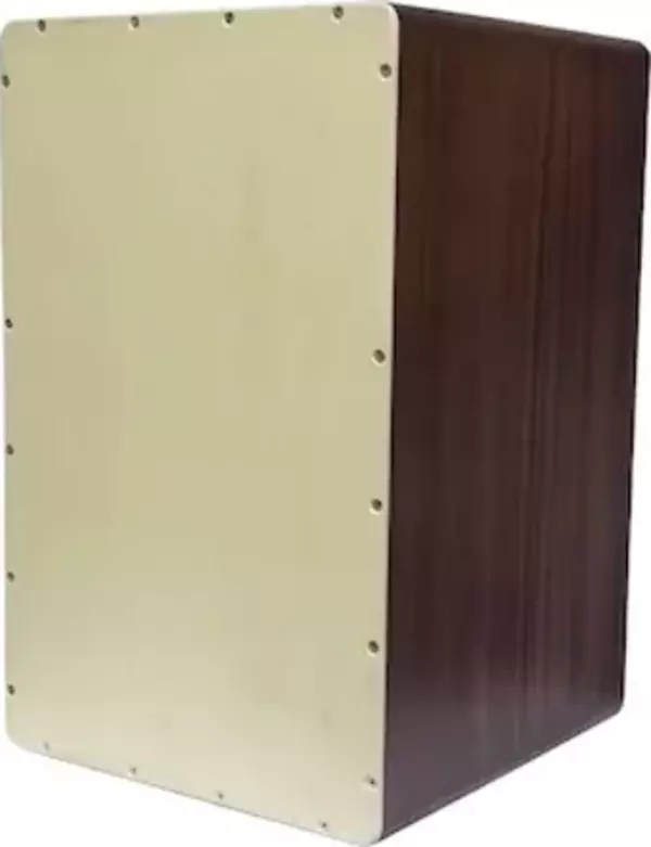 Rtcaah - Çatlak Boyalı Kılıflı Cajon - Image 1