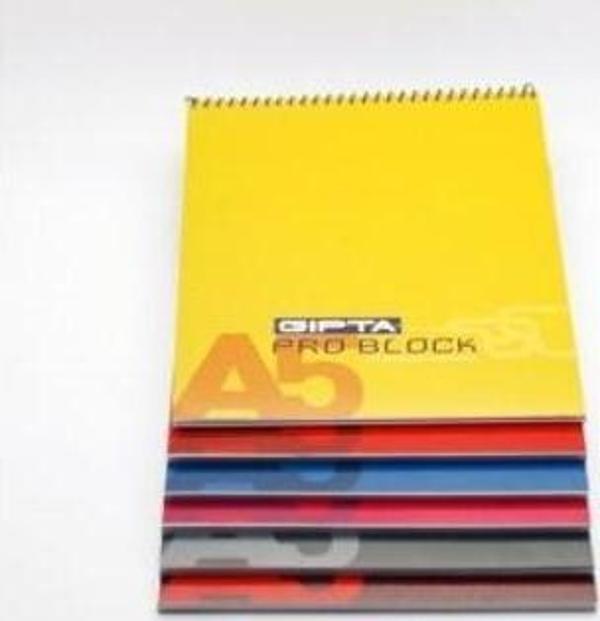 Gıpta A5 Bloknot Pro-Block Spiralli Karton Kapak Kareli 40 Yaprak 3-1401000-2181 (12 Li Paket) - Image 1