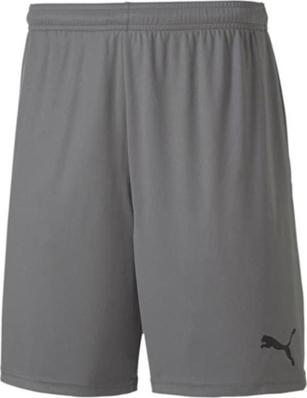 Puma 704262 Teamgoal 23 Knit Shorts Gri - Image 1