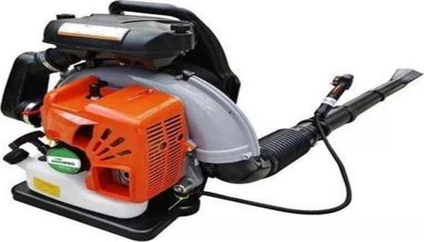 Garden Pro EB650 Benzinli Üfleme Makinesı - Image 1