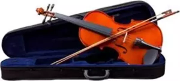 Picaldi 16''lg106 Viyola - Image 1