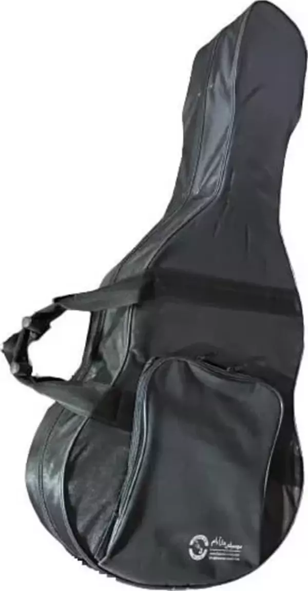 Picaldi Gri/turuncu Klasik Gitar Kutusu Ccg001a - Image 1