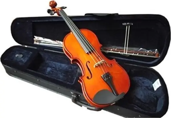 Picaldi Vg106 1/2 Keman - Image 1