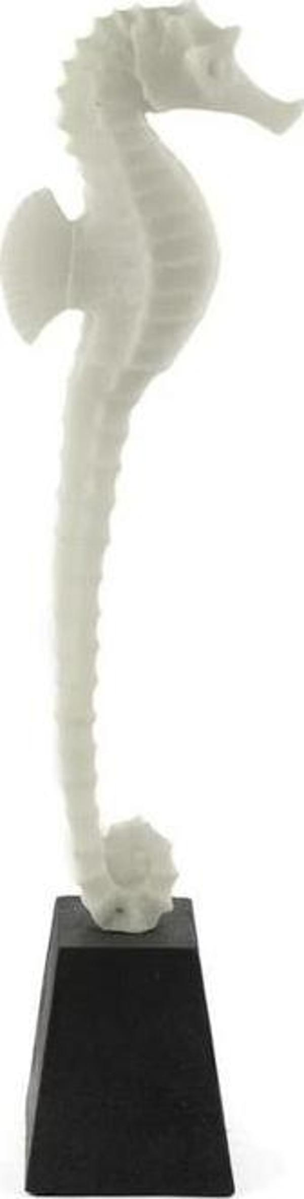 Mikasa Moor Biblo Deniz Atı 13X51 cm - Image 1