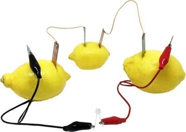 cansares Pil Yapma Deney Seti, Limon Pili Kimyasal Enerjiyle Elektrik Yapma Asitli Limon Ve Meyveden - Image 1