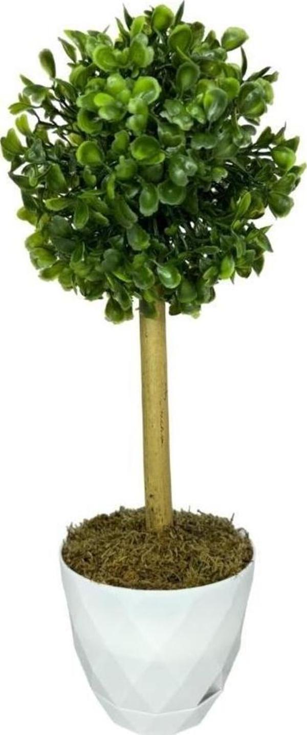Netten Evime Yapay Ağaç Şimşir Top Tek Toplu 12x31 cm Beyaz Saksıda - Image 1