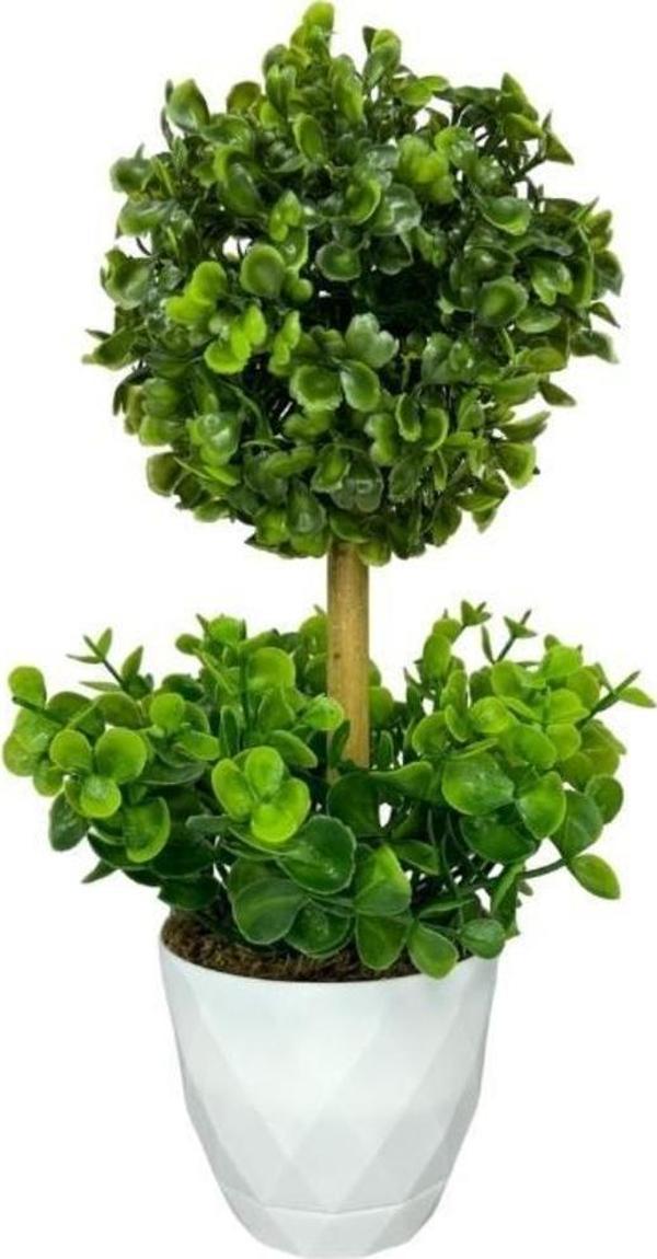 Netten Evime Yapay Ağaç Şimşir Top Tek Toplu Şimşirli 12x31 cm Beyaz Saksıda - Image 1