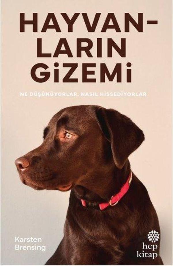 Hayvanların Gizemi - Hep Kitap - Image 1