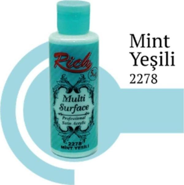 Rich Multi Surface 2278 Mint Yeşili Akrilik Boya 130 Cc - Image 1