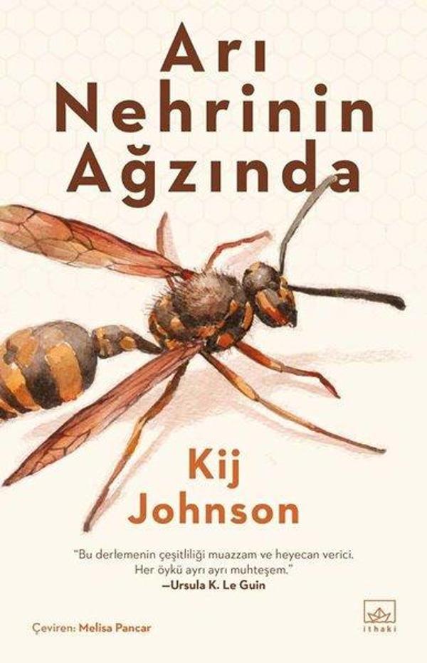 Arı Nehrinin Ağzında - İthaki Yayınları - Image 1