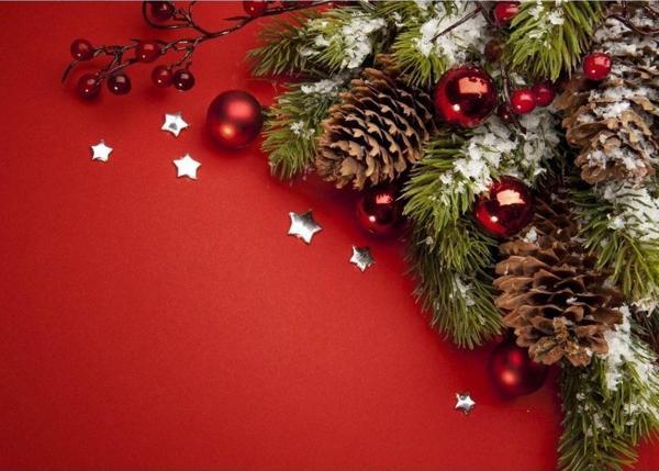 TellGraf Tek Kullanımlık Kağıt Amerikan Servis (6 Adet) - Image 1