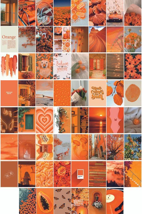 TellGraf Turuncu Temalı Kartpostal Seti (10x15 cm 48 adet) - Image 1