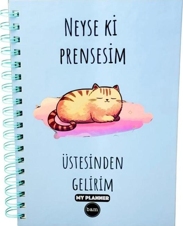 Neyse ki Pensesim Üstesinden Gelirim Konuşan Ajanda - Image 1