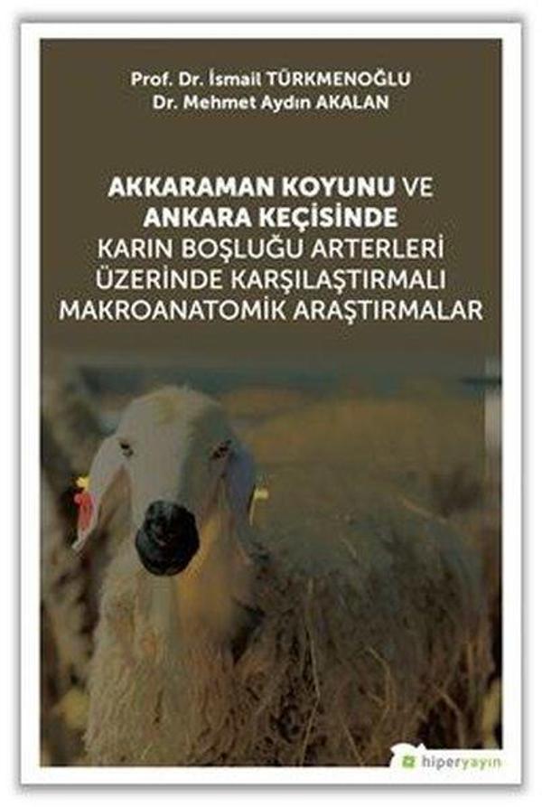 Akkaraman Koyunu ve Ankara Keçisinde Karın Boşluğu Arterleri Üzerinde Karşılaştırmalı Makroanatomik - Hiperlink - Image 1