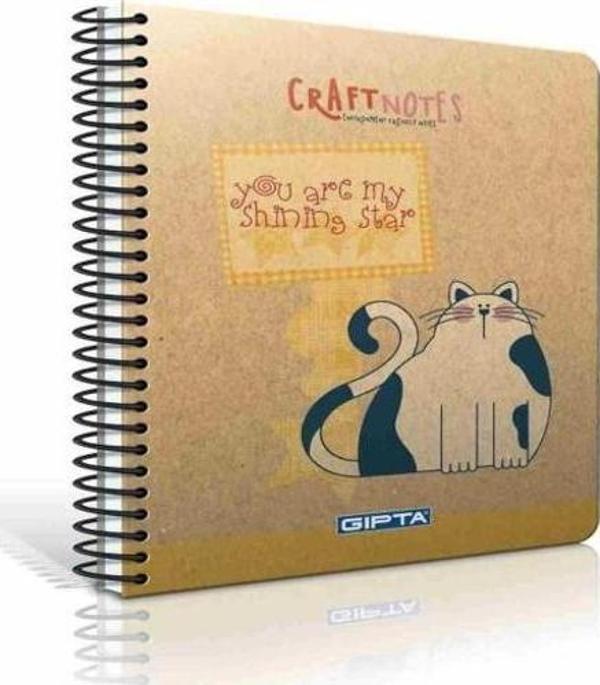 Gıpta Craft Notes Sp Sert  Kap. Def. A4 100yp Düz - Image 1