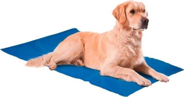 Nunbell Serinleticili Köpek Yatağı XXLarge 50x90 cm - Image 1