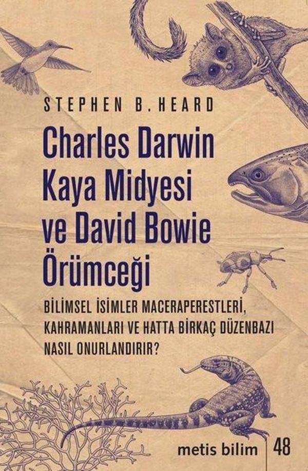 Charles Darwin Kaya Midyesi ve David Bowie Örümceği - Metis Yayınları - Image 1