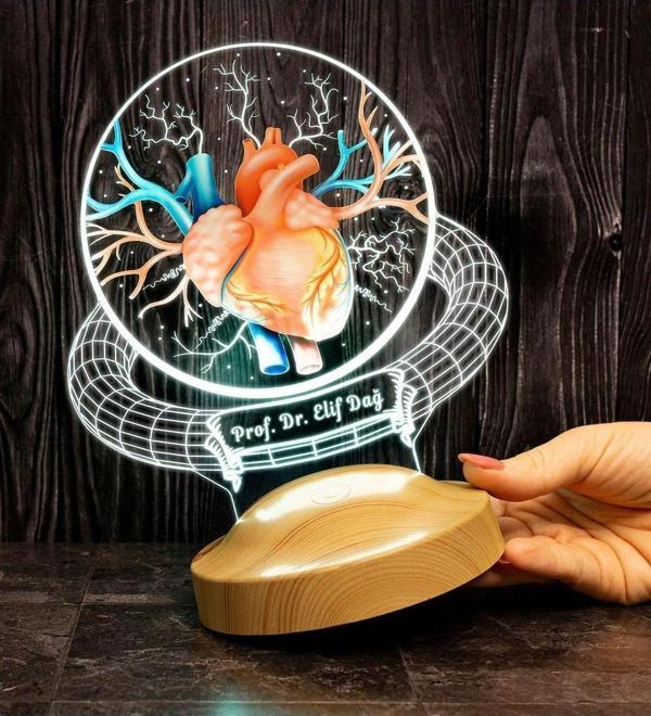 Sevgi Lambası Doktor Hediyesi Kalp Ve Damar Tasarımlı Led Lamba, Tıp Bayramı Hediyesi Renkli Masa Lambası - Image 1