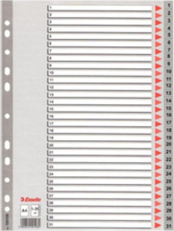 Esselte Seperatör 1-31 Rakamlı Plastik A4 100108 - Image 1