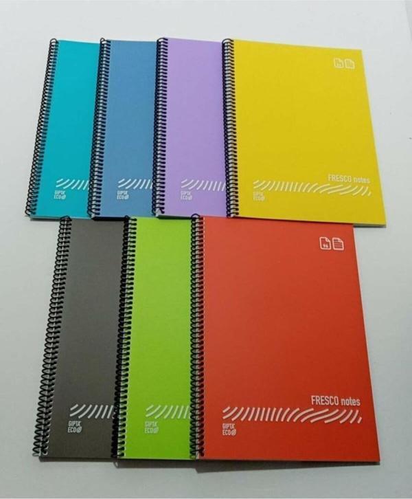 Gıpta Fresco A4 Spiralli Düz Plastik Defter 60 Yaprak Kareli 4931 (12 Li Paket) - Image 1