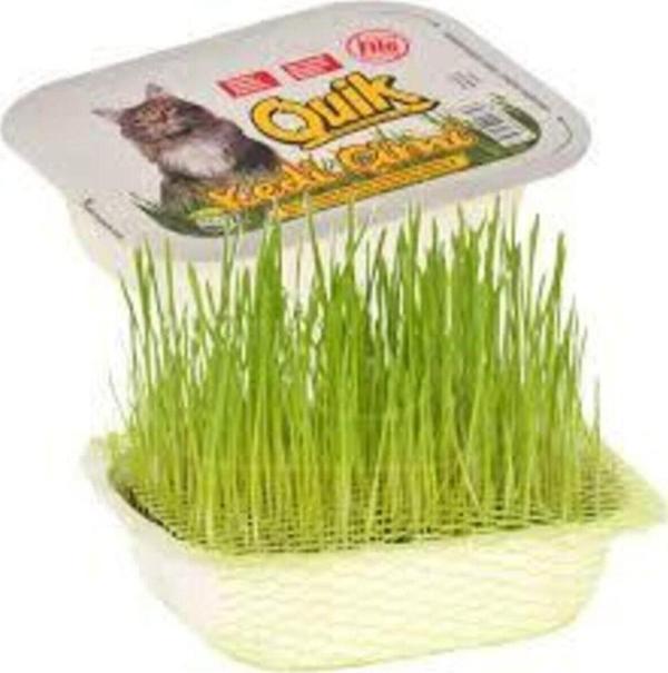 Quik Doğal Kedi Çimi Fileli 1 Adet - Image 1