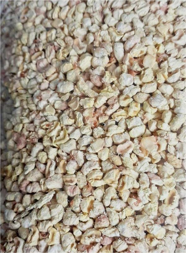 BioKitty Kedi Kumu Mısır Granülü 1 kg - Image 1