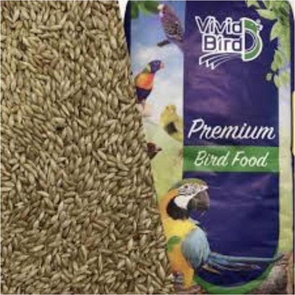 Vivid Sade Kanarya (aspur) 10 Kg - Image 1