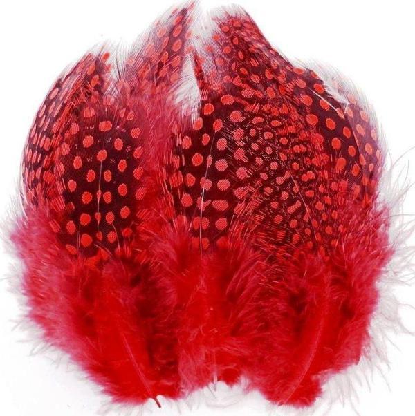 100 PCS DECOR RED BIRD FEATHER 100 ADET PUANTİYELİ KIRMIZI SİYAH KUŞ TÜYÜ DEKOR KIRMIZI KUŞ TÜYÜ - Image 1
