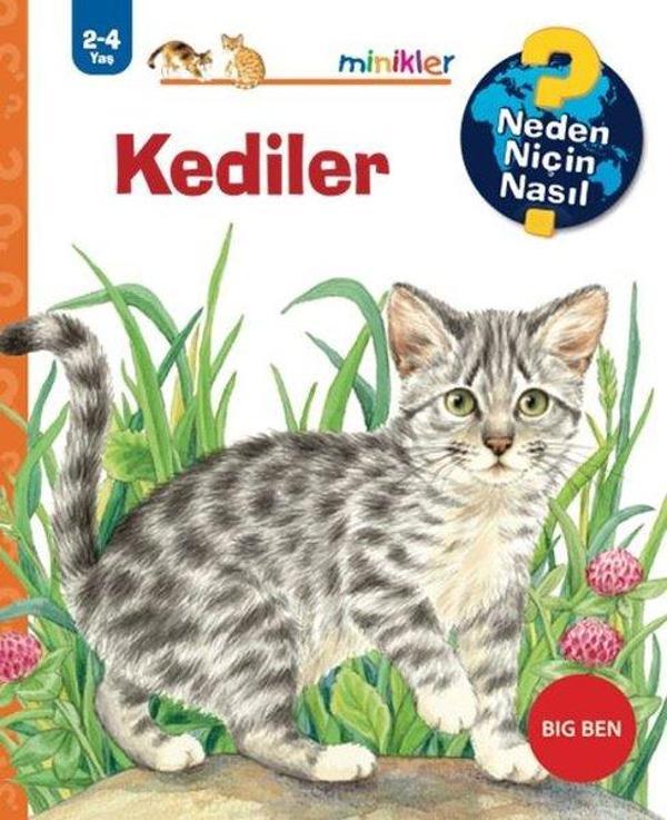 Kediler - Neden Niçin Nasıl 2 - 4 Yaş - Big Ben Yayıncılık - Image 1