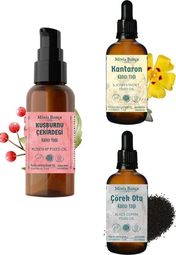 100 ml Kuşburnu Çekirdeği Yağı, Çörekotu Yağı 30ml, Kantaron Yağı 30ml - Image 1