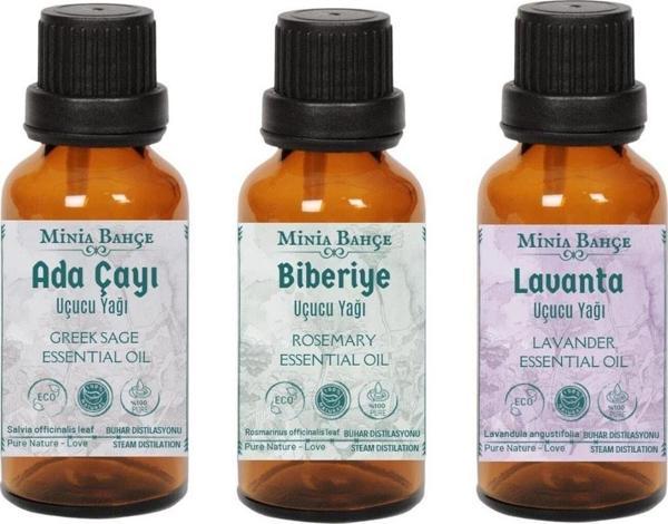 Ada Çayı Yağı 10 Ml - Biberiye Yağı 10 Ml - Lavanta Yağı 10 Ml - Image 1