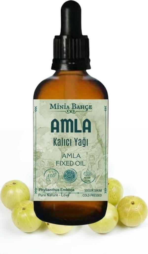 Amla Sabit Yağı, %100 Saf, 30 Ml - Image 1
