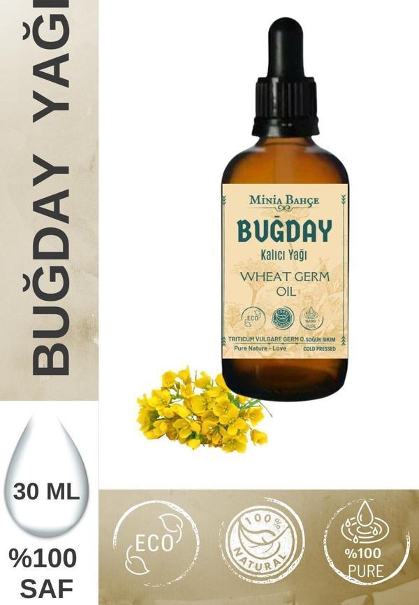 Buğday Yağı, %100 saf, 30 ml - Image 1