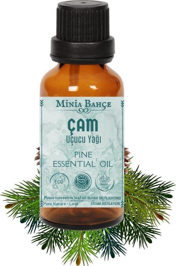 Çam Ağacı Uçucu Yağı, %100 Saf, 10 Ml - Image 1