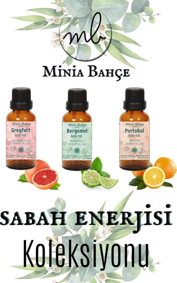 Greyfurt Yağı 10ml - Bergamot Yağı 10ml- Portakal Yağı 10ml - Image 1