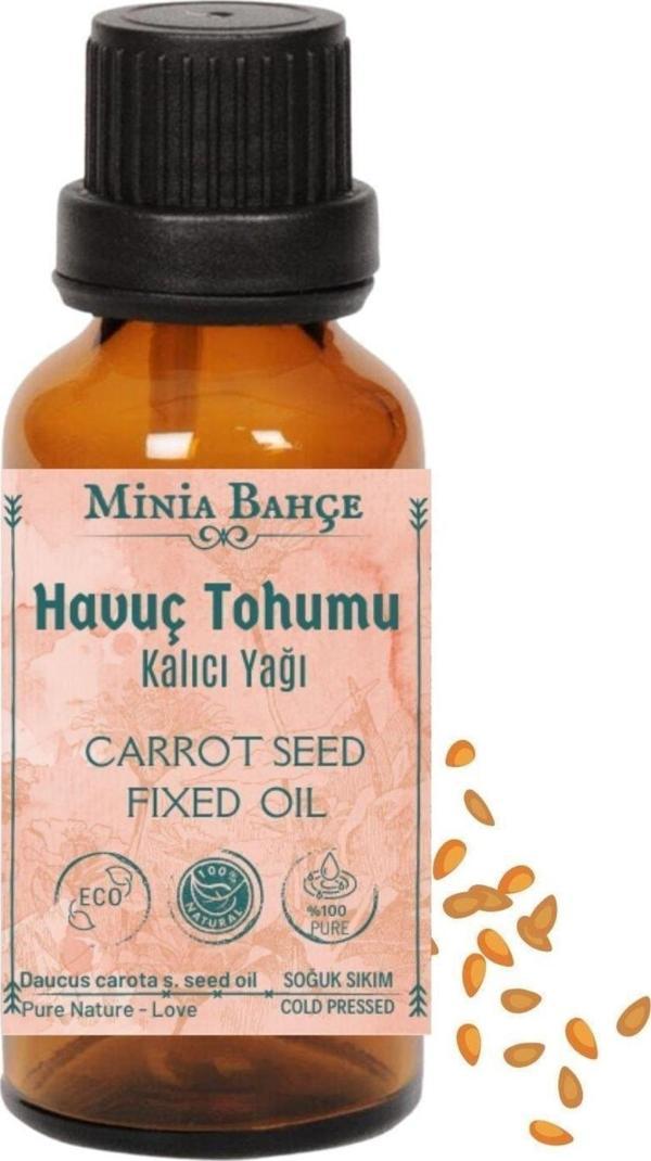 Havuç Tohumu Yağı, 20ml , Soğuk Sıkım, %100 Saf - Image 1