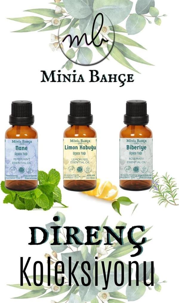 Nane Yağı 10ml, Limon Kabuğu Yağı 10ml, Biberiye Yağı 10ml - Image 1