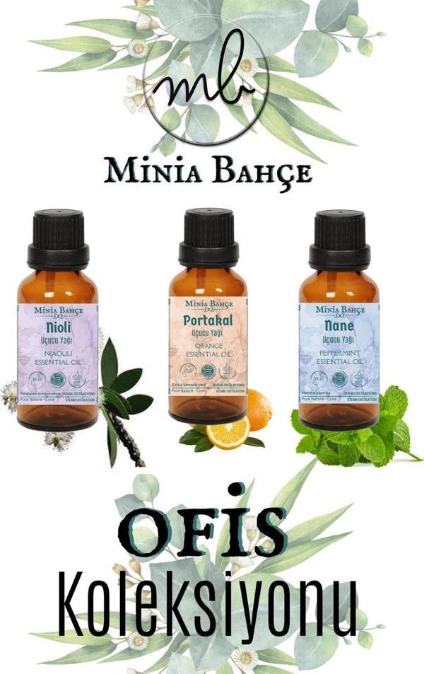 Nioli Uçucu Yağı 10ml, Portakal Uçucu Yağı 10ml, Nane Uçucu Yağı 10ml, %100 Pure - Image 1