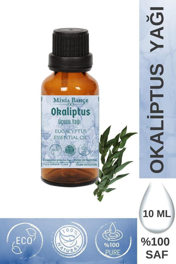 Okaliptus Uçucu Yağı 10ml - Image 1