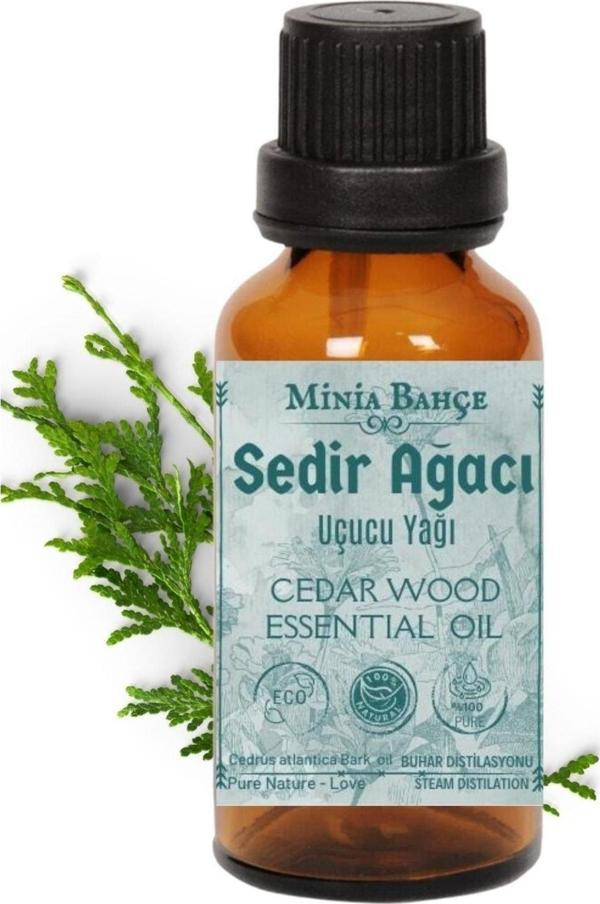 Sedir Ağacı Uçucu Yağı, %100 Saf, 10 Ml - Image 1