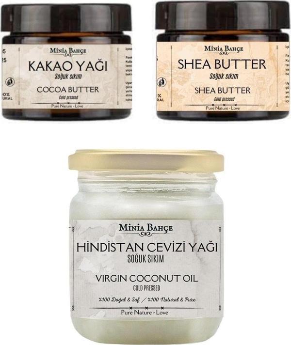 Soğuk Sıkım Shea Butter, Kakao Yağı Ve Hindistan Cevizi Yağı %100 Doğal & Saf - Image 1