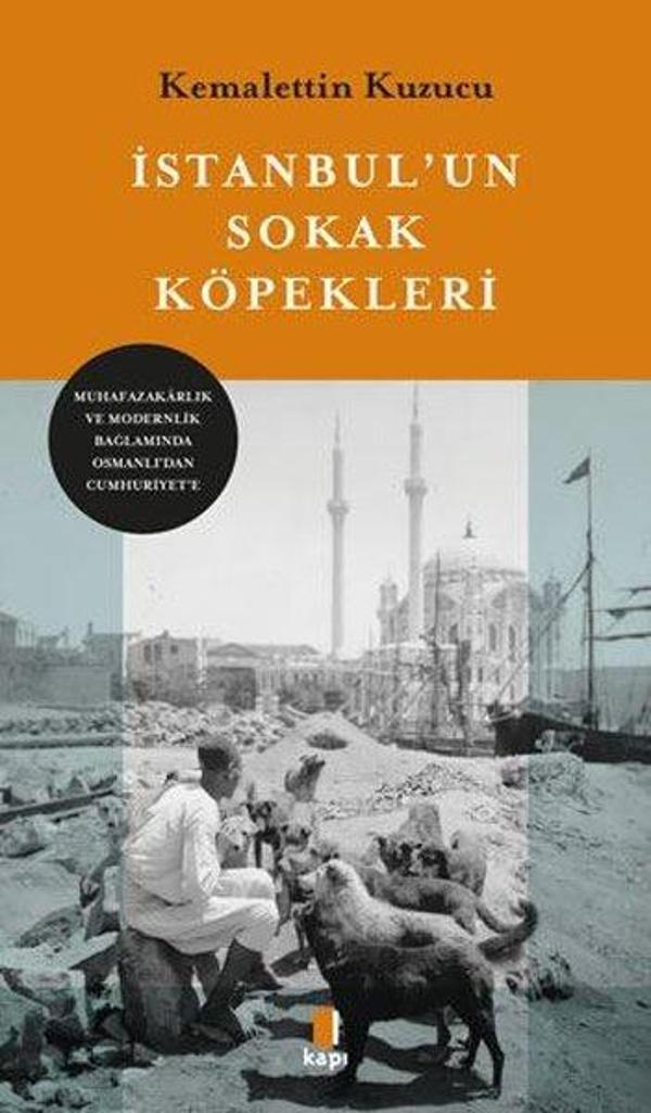 İstanbul'un Sokak Köpekleri - Kapı Yayınları - Image 1